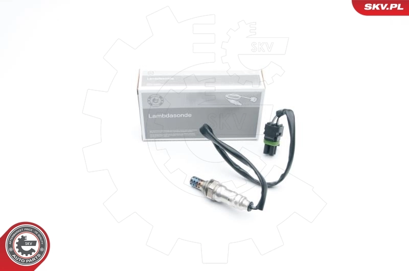 Oxygen Sensor